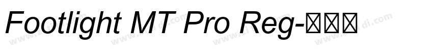 Footlight MT Pro Reg字体转换